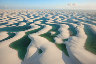 Illustration for article titled Brazilian park reveals what happened when the rains finally came to Dune